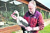 Záchranář Libor Šejna s poraněným čápem.