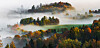 Mlha a barevné podzimní listí umí vizuální zázraky.
