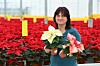 Zahradnice Ilona Košťálková ukazuje různě zbarvené pryšce.