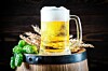 Pivo