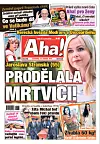 Deník Aha! 22.4.2025