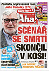 Deník Aha! 19.5.2025