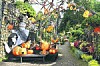 Dýňová výstava v rodinném arboretu čítá stovky dýní 58 různých druhů.