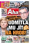 Deník Aha! 11.11.2025