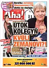 Deník Aha! 14.11.2025