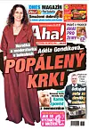 Deník Aha! 20.11.2025