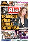 24.11.2025