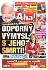 Deník Aha! 31.12.2025