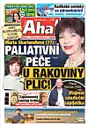 Deník Aha! 13.1.2026