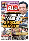 Deník Aha! 17.1.2026