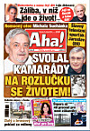 31.1.2026