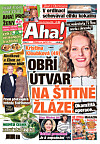 Deník Aha! 25.3.2026