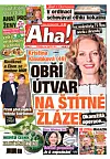 Deník Aha! 25.3.2026